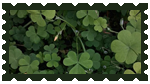 clover STAMP