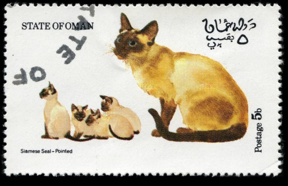 cats STAMP