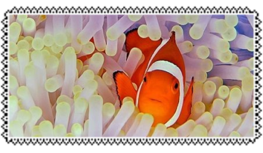 fish STAMP