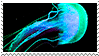 jellyfish STAMP 2