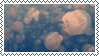 jellyfish STAMP 3