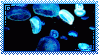 jellyfish STAMP 4