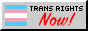 Trans Rights Now BUTTON