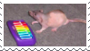 neil banging on the tunes STAMP
