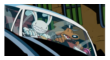 Sam and Max STAMP